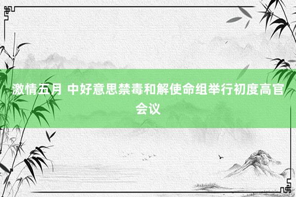 激情五月 中好意思禁毒和解使命组举行初度高官会议