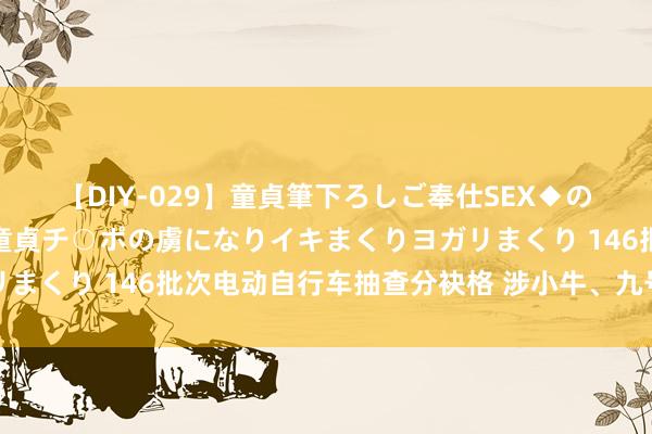 【DIY-029】童貞筆下ろしご奉仕SEX◆のはずが媚薬で一転！！童貞チ○ポの虜になりイキまくりヨガリまくり 146批次电动自行车抽查分袂格 涉小牛、九号、雅迪等