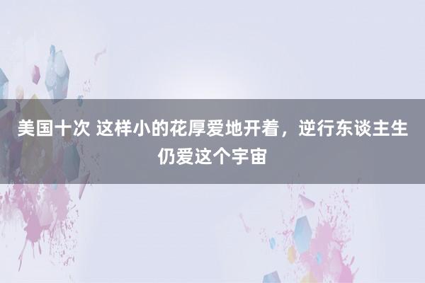 美国十次 这样小的花厚爱地开着，逆行东谈主生仍爱这个宇宙