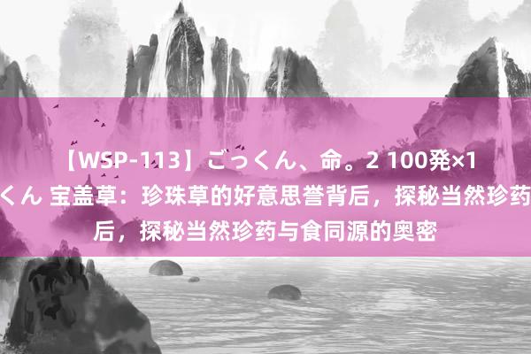 【WSP-113】ごっくん、命。2 100発×100人×一撃ごっくん 宝盖草：珍珠草的好意思誉背后，探秘当然珍药与食同源的奥密