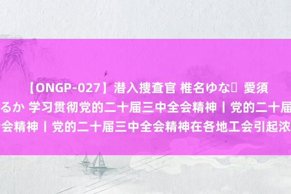 【ONGP-027】潜入捜査官 椎名ゆな・愛須心亜・紺野ひかる・佳苗るか 学习贯彻党的二十届三中全会精神丨党的二十届三中全会精神在各地工会引起浓烈反响