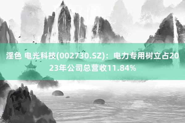 淫色 电光科技(002730.SZ)：电力专用树立占2023年公司总营收11.84%