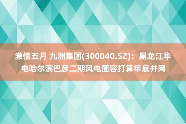 激情五月 九洲集团(300040.SZ)：黑龙江华电哈尔滨巴彦二期风电面容打算年底并网