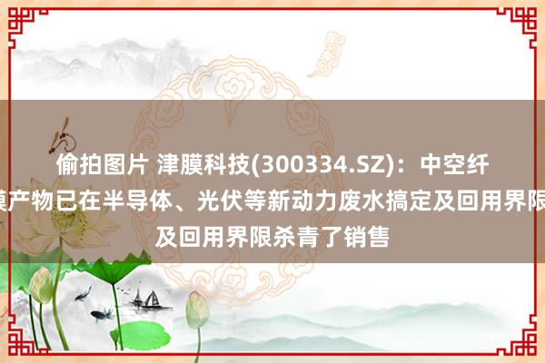 偷拍图片 津膜科技(300334.SZ)：中空纤维超/微滤膜产物已在半导体、光伏等新动力废水搞定及回用界限杀青了销售