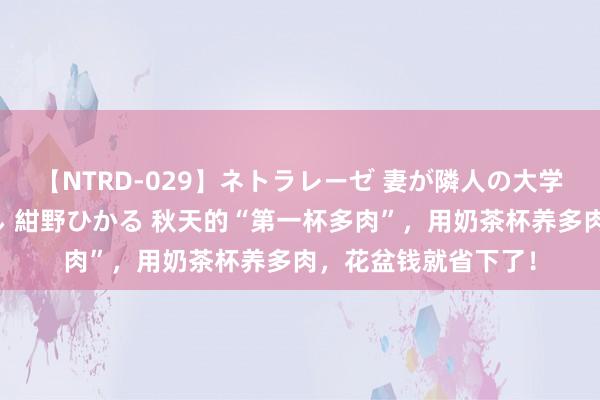 【NTRD-029】ネトラレーゼ 妻が隣人の大学生に寝盗られた話し 紺野ひかる 秋天的“第一杯多肉”，用奶茶杯养多肉，花盆钱就省下了！