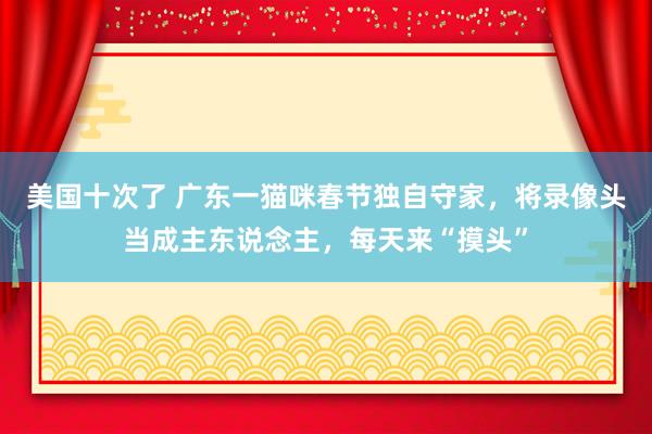 美国十次了 广东一猫咪春节独自守家，将录像头当成主东说念主，每天来“摸头”