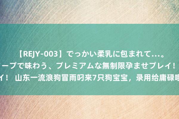 【REJY-003】でっかい柔乳に包まれて…。最高級ヌルヌル中出しソープで味わう、プレミアムな無制限孕ませプレイ！ 山东一流浪狗冒雨叼来7只狗宝宝，录用给庸碌喂它的好心东说念主家