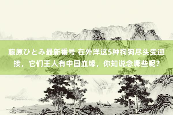 藤原ひとみ最新番号 在外洋这5种狗狗尽头受迎接，它们王人有中国血缘，你知说念哪些呢？