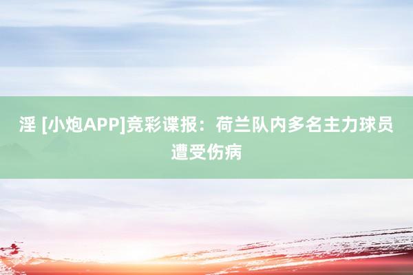 淫 [小炮APP]竞彩谍报：荷兰队内多名主力球员遭受伤病