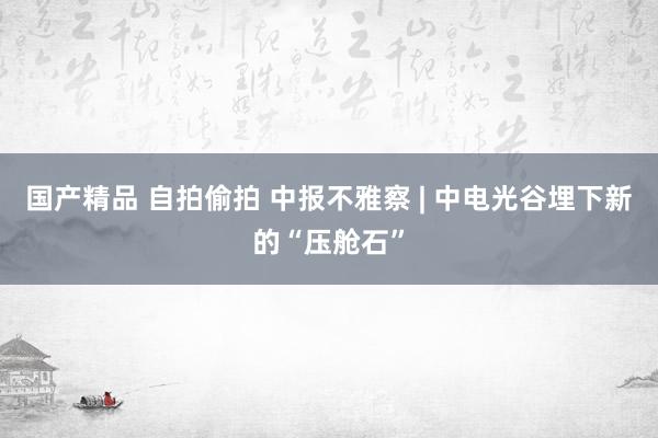 国产精品 自拍偷拍 中报不雅察 | 中电光谷埋下新的“压舱石”