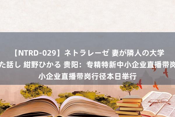 【NTRD-029】ネトラレーゼ 妻が隣人の大学生に寝盗られた話し 紺野ひかる 贵阳：专精特新中小企业直播带岗行径本日举行