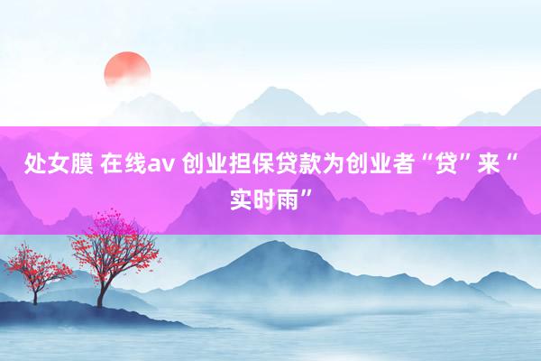 处女膜 在线av 创业担保贷款为创业者“贷”来“实时雨”