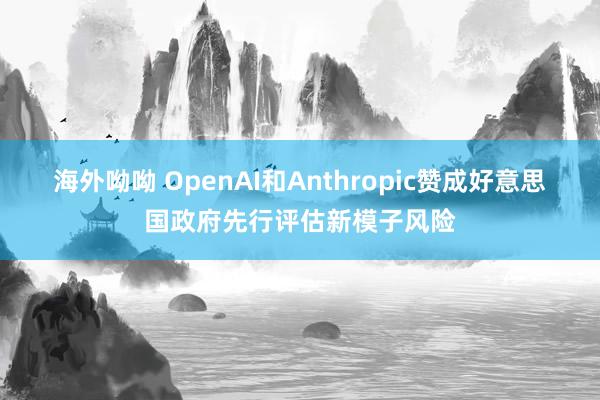 海外呦呦 OpenAI和Anthropic赞成好意思国政府先行评估新模子风险