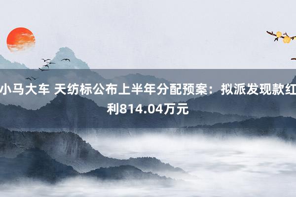 小马大车 天纺标公布上半年分配预案：拟派发现款红利814.04万元