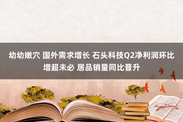 幼幼嫩穴 国外需求增长 石头科技Q2净利润环比增超未必 居品销量同比晋升