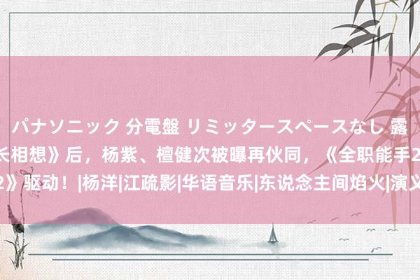 パナソニック 分電盤 リミッタースペースなし 露出・半埋込両用形 继《长相想》后，杨紫、檀健次被曝再伙同，《全职能手2》驱动！|杨洋|江疏影|华语音乐|东说念主间焰火|演义改编片|长相想(电视剧)