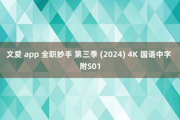 文爱 app 全职妙手 第三季 (2024) 4K 国语中字 附S01