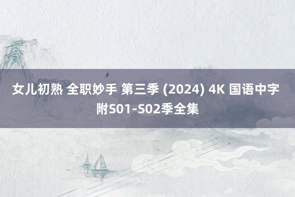 女儿初熟 全职妙手 第三季 (2024) 4K 国语中字 附S01-S02季全集