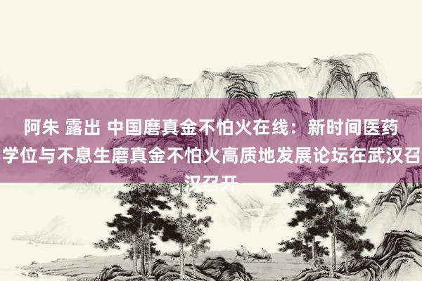 阿朱 露出 中国磨真金不怕火在线：新时间医药学学位与不息生磨真金不怕火高质地发展论坛在武汉召开